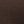 Brown Solid