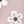 Flower Grey