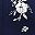 Navy White