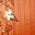 Rust Floral Print