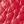 Rich Red