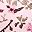 Pink Flowers
