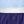 Bluey Blue Purple