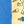 Bluey Blue Yellow