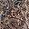 Ivory Layered Paisley