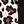 Trendy Leopard Print