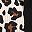 Trendy Leopard Print