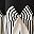 Bow Balck Stripe