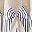 Bow Blue Stripe