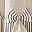 Bow Brown Stripe