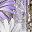 Daisy Purple