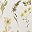 Mustard Yellow Green
