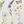 Sage Green Yellow