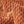 Burnt Orange