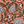 Dark Salmon Pink