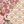 Light Pink Multi