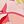 Pink Multi
