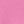 Black Hot Pink