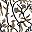 Brown Light Brown