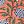 Dark Salmon Pink