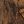 Rustic Brown