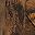 Rustic Brown