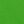 Creeper Green Black