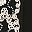 Champagne Black