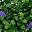 Green Blue