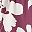 Burgundy Green