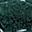 Blackish Green