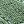 Grass Green