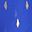 Royal Blue White