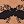 Brown Butterflypattern