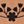 Brown Floral Patterns