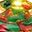 Multicolor Tree Usb