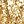 Gold Deer