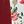 Burgundy Tusk Floral