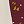 Ivory Burgundy Dot