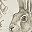 Beige Hare Fern