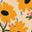 Yellow Flower