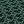 Blackish Green