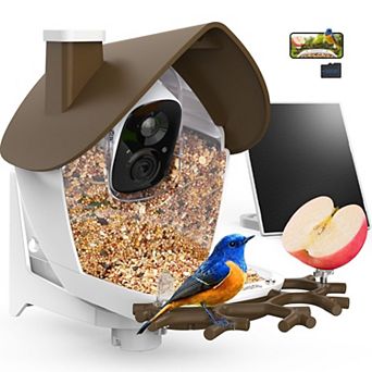 Smart bird feeder with camera, solar powered, 2K video, Wi-Fi app viewing, 32GB card, blue