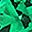 Emerald May