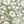 Muted Sage Green