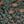 Dark Green Black