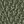 Beige Khaki