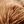 Marble Caramel Brown