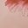 Coral Pink