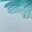 Aqua Blue